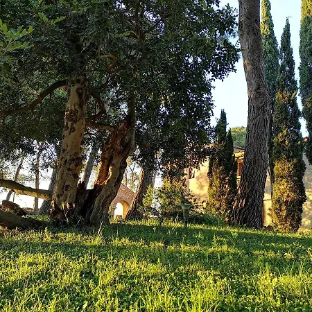 Mas Garriga - Bellavista *