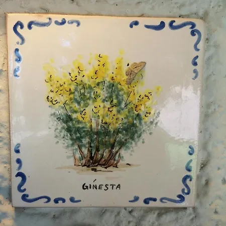 Mas Garriga - Bellavista